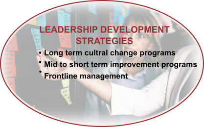 Leadership Development Strategies